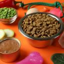 Is Purina ONE a Good Dog Food-3