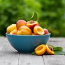 Can Dogs Eat Peaches-3