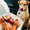 Can Dogs Eat Spicy Food-1