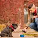 Can Dogs Eat Spicy Food-3