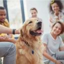 Therapy Dog Training-1