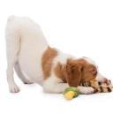 Brittany(Spaniel)