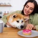 What Foods Are Toxic to Dogs-3