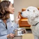 What Human Food Can Dogs Eat-3
