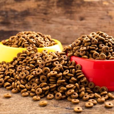 Is Purina ONE a Good Dog Food? Image