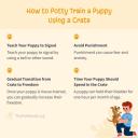 How to Potty Train a Puppy Using a Crate-1