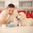 What Human Food Can Dogs Eat-1