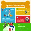 dog training tips-3