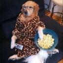 Can Dogs Eat Popcorn-3