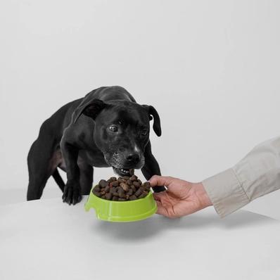 Is Purina Pro Plan a Good Dog Food? Image