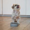 Is Purina Pro Plan a Good Dog Food-2