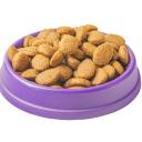 Is Purina ONE a Good Dog Food-1