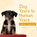 Dog Years to Human Years-2