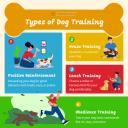 dog training tips-2