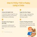 How to Potty Train a Puppy Using a Crate