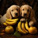 can dogs eat bananas