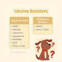 Vaccine Boosters