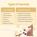 Types of Vaccines